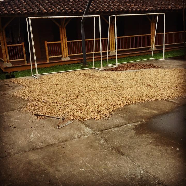 Finca El Diamante Villa Calarcá Esterno foto