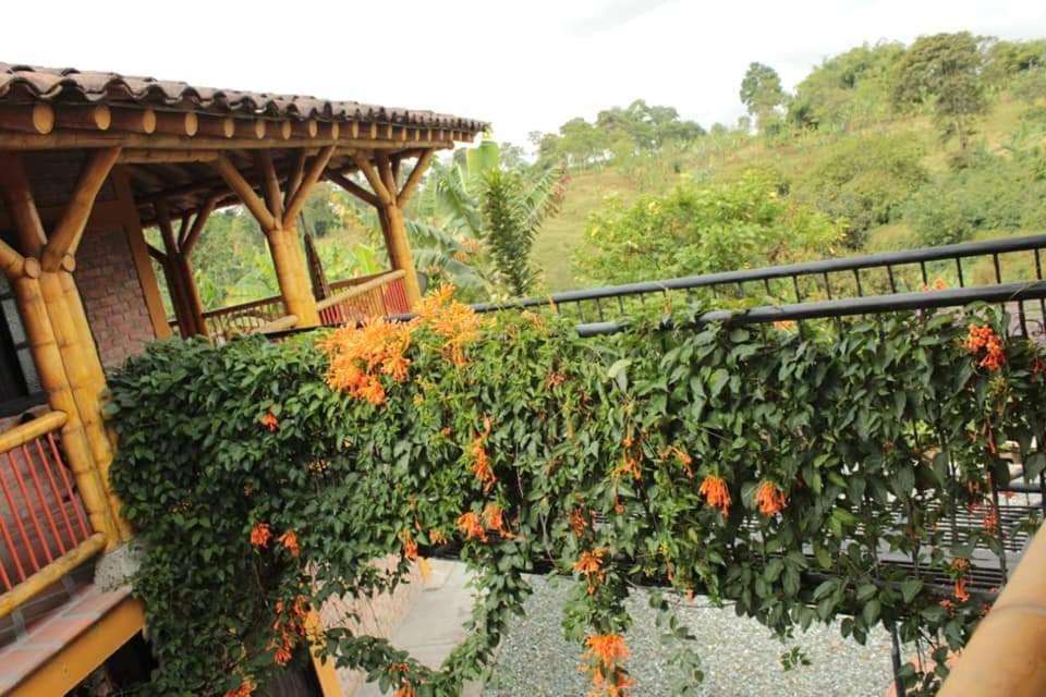 Finca El Diamante Villa Calarcá Esterno foto