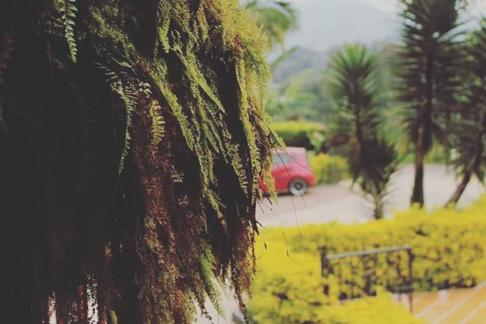 Finca El Diamante Villa Calarcá Esterno foto
